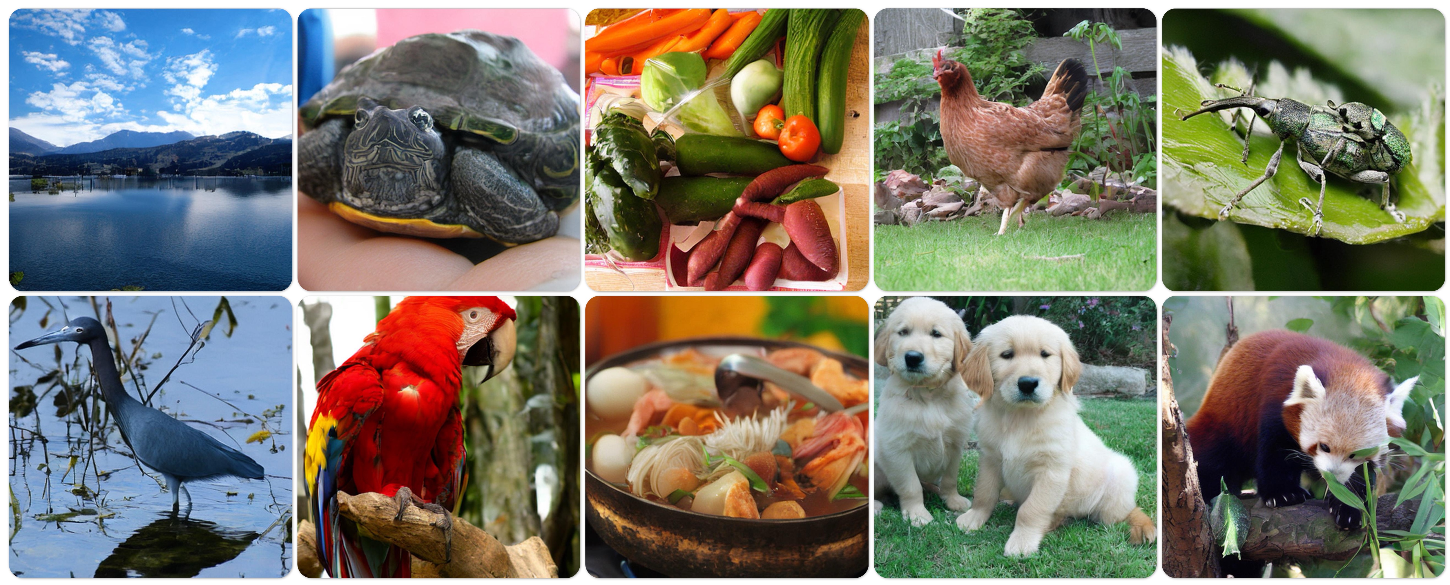 Qualitative ImageNet 512x512 samples from DA-VAE fine-tuning