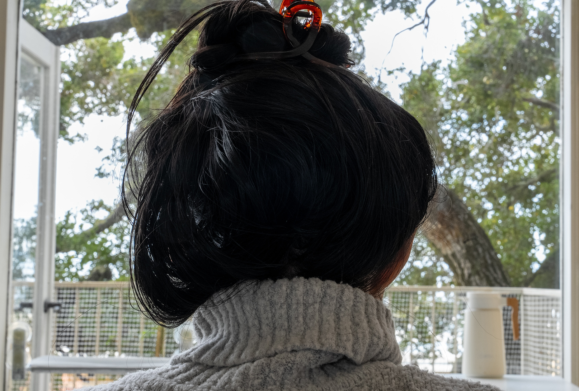 Black-hair portrait input