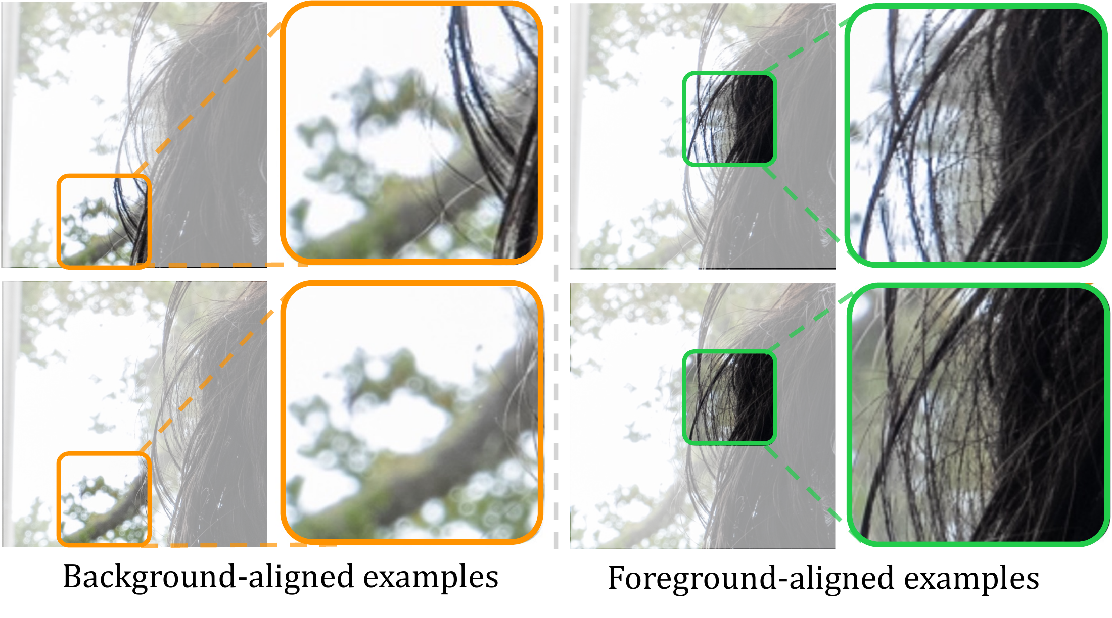 Layer-specific motion alignment visualization